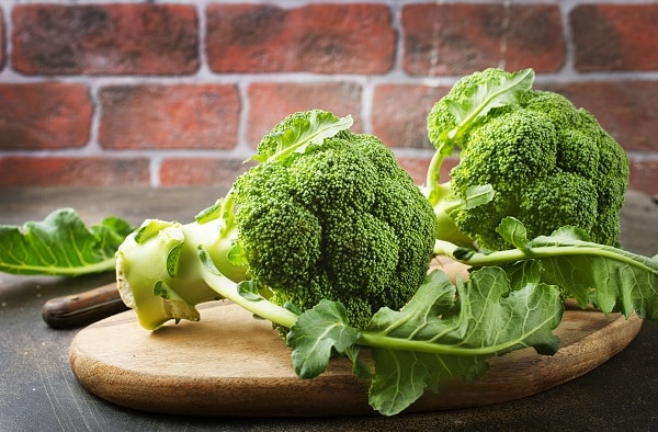 Broccoli Recipes