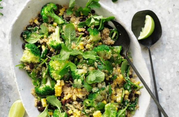 Broccoli Recipes