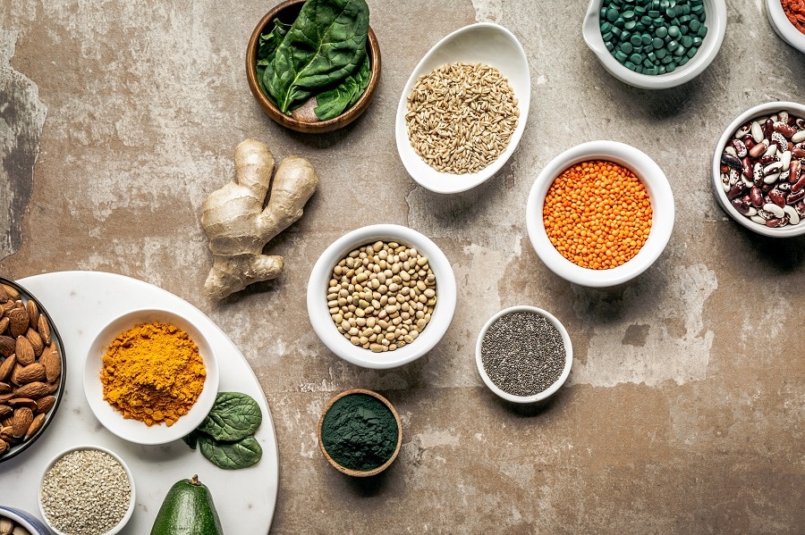 Protein Sources