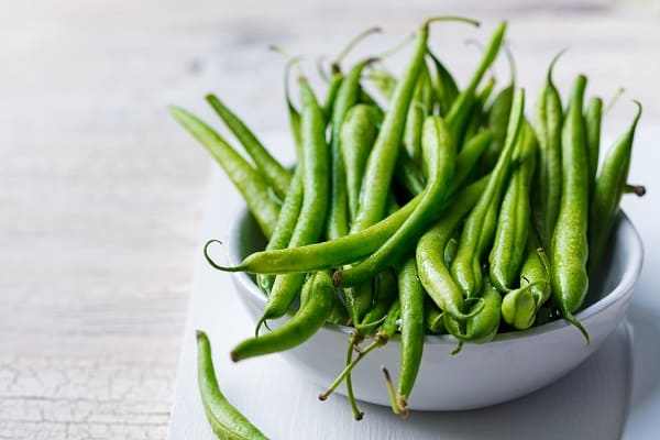 gut health