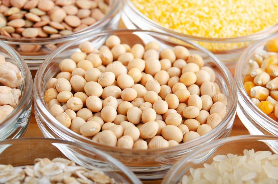 Soy