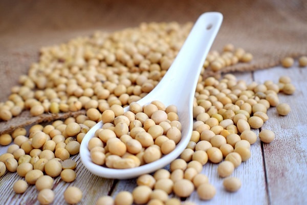 Soy
