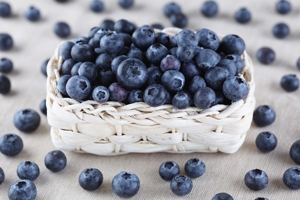 Nutritionally Dense Foods That Should Eat