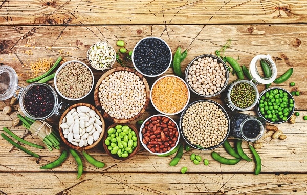 Plant-Based