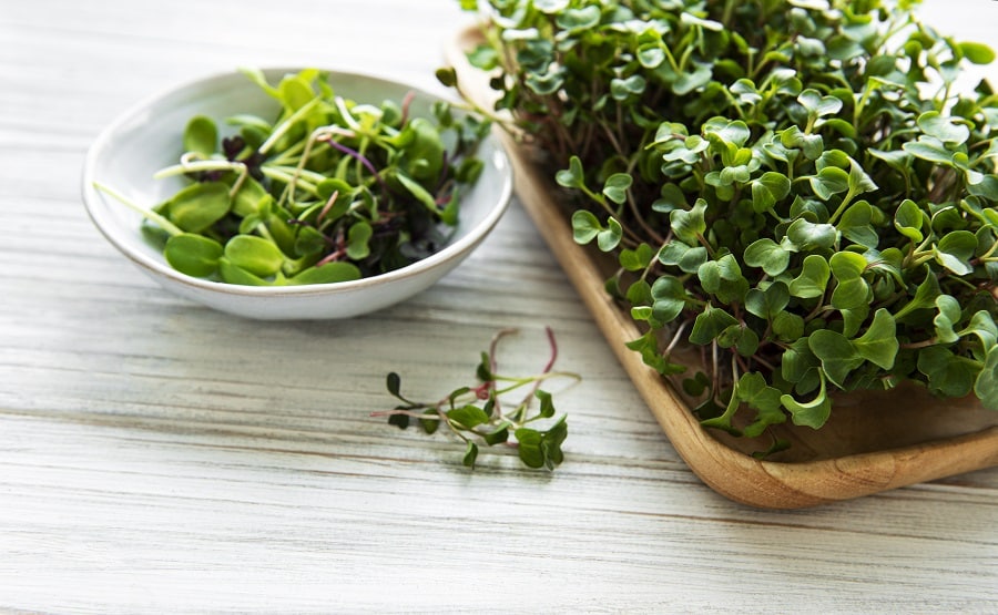 Microgreens