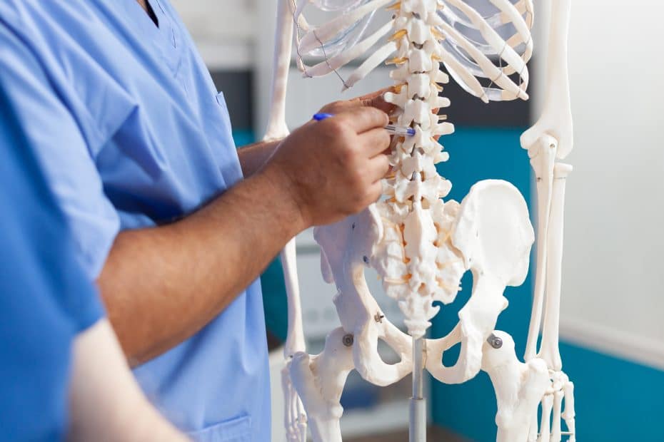 Bone Health