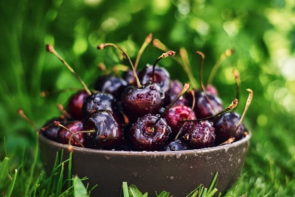 Fruits