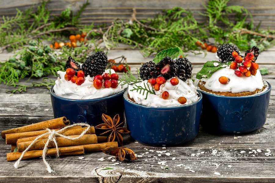 Vegan Christmas