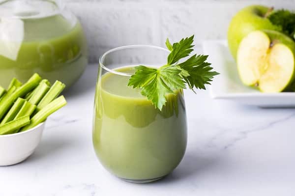 Plant-Based Diet