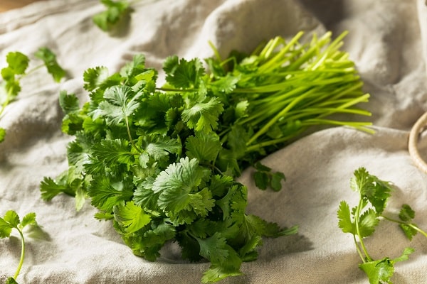 Herbs