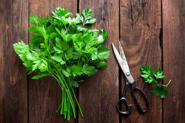 Herbs