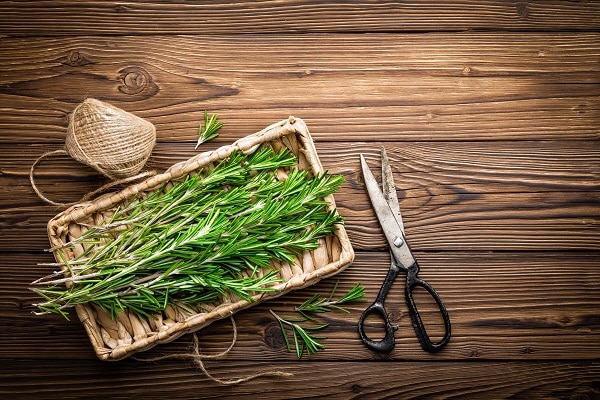 Herbs