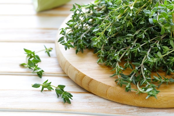 Herbs