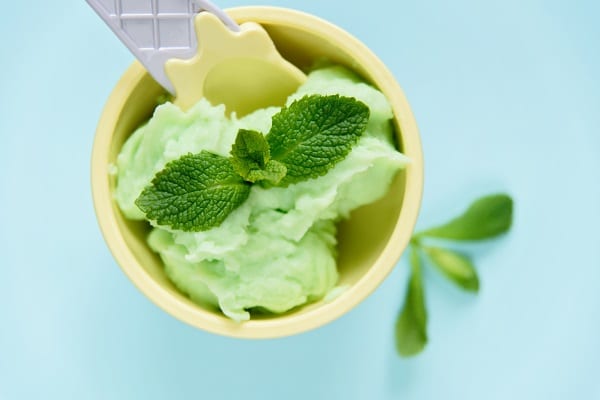 Vegan Ice Cream