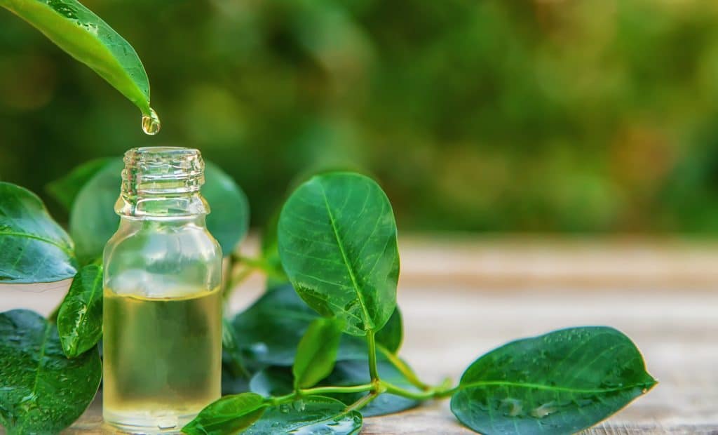 Skincare