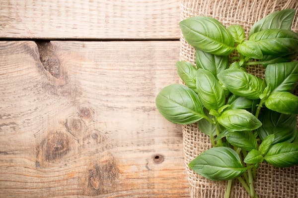 Herbs And Spices