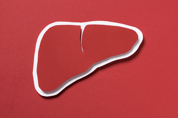 Liver