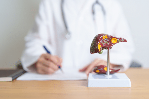 Liver