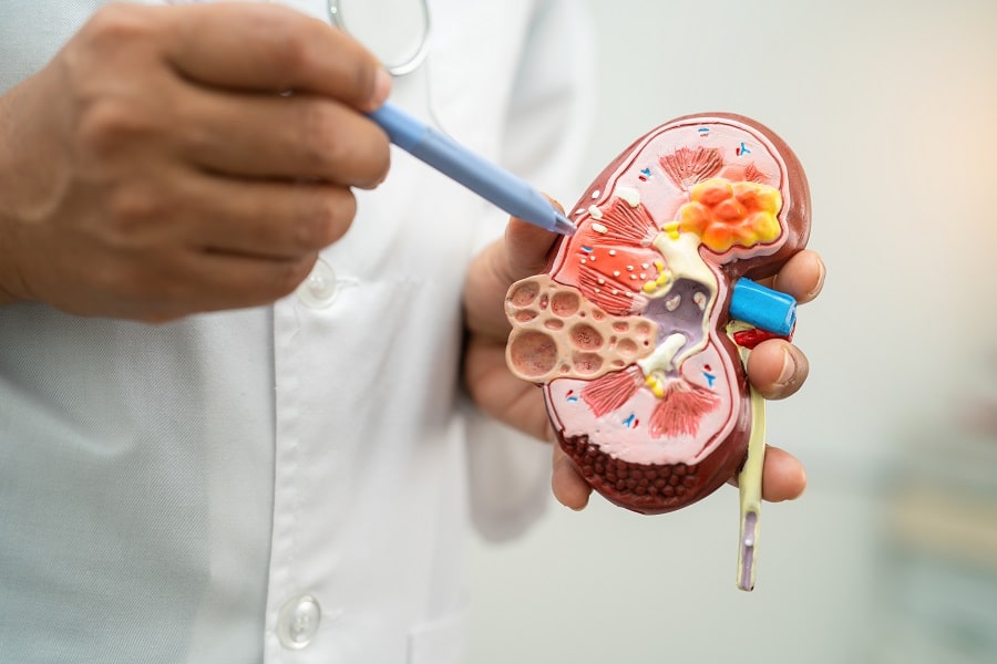 Kidney Disease