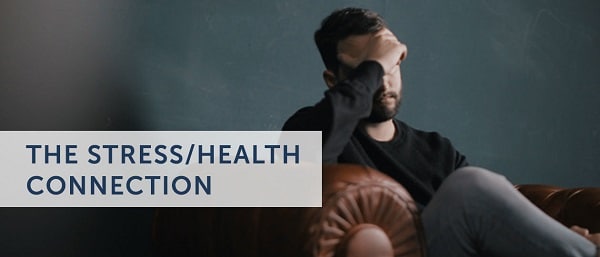Workplace Wellness: Staying Healthy In A High-Stress Environment