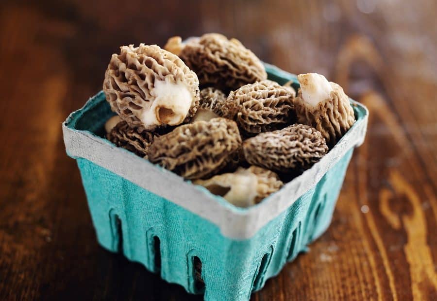 Mushrooms