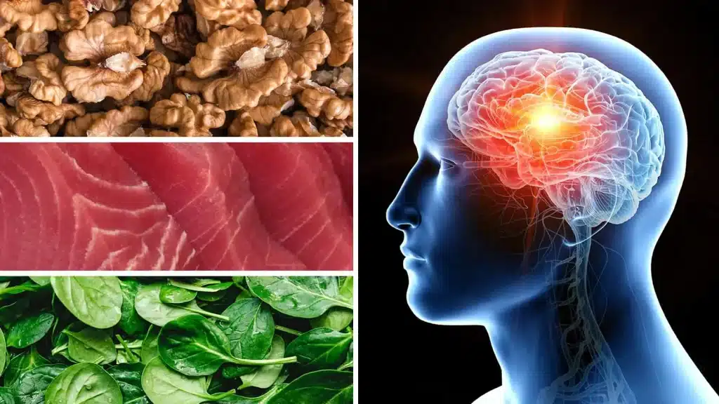 Impact Of Omega-3 Fatty Acids On Brain Health