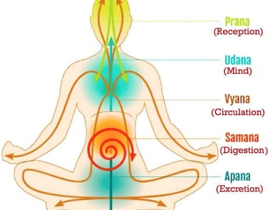 Breathwork For Health: The Power Of Pranayama