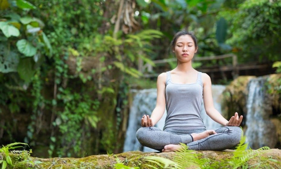 Ecotherapy: Healing Through Connection With The Earth
