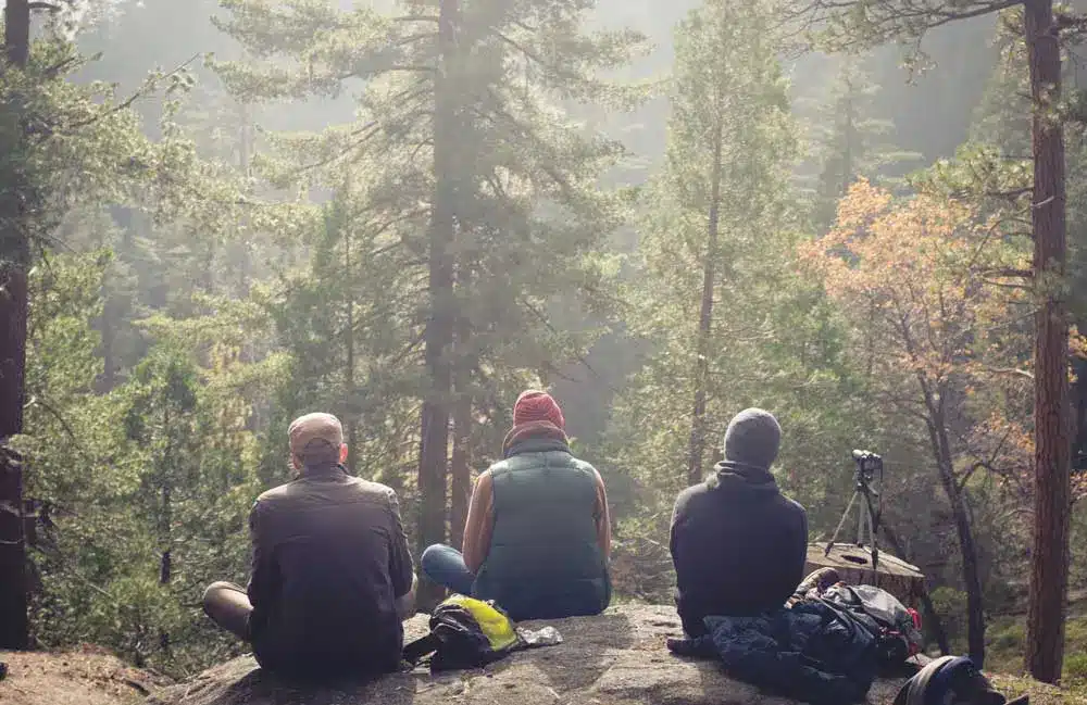 Ecotherapy: Healing Through Connection With The Earth