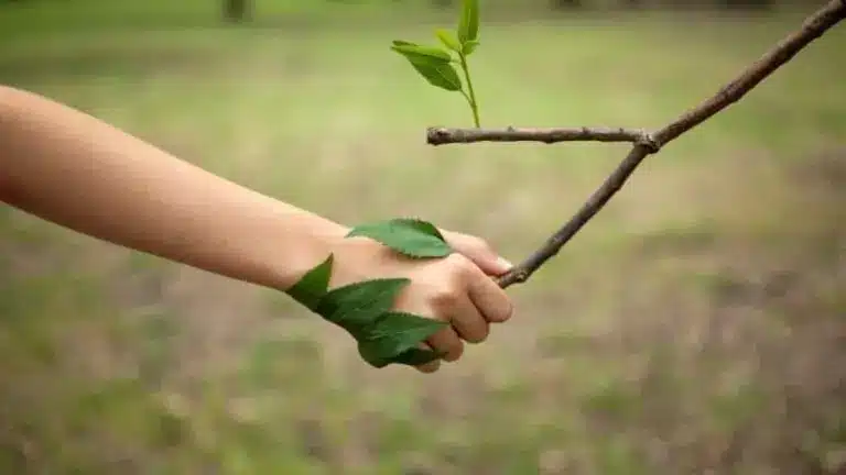 Ecotherapy: Healing Through Connection With The Earth