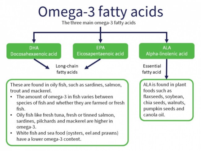 Impact Of Omega-3 Fatty Acids On Brain Health