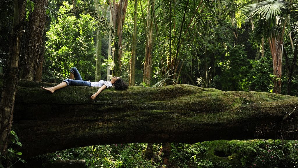 Ecotherapy: Healing Through Connection With The Earth