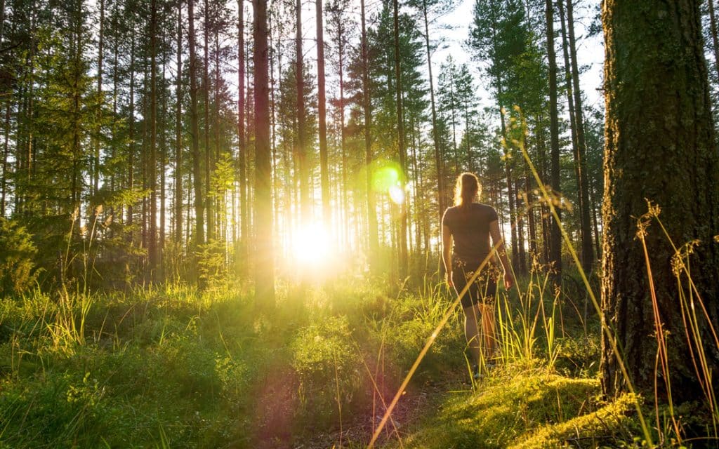 Ecotherapy: Healing Through Connection With The Earth
