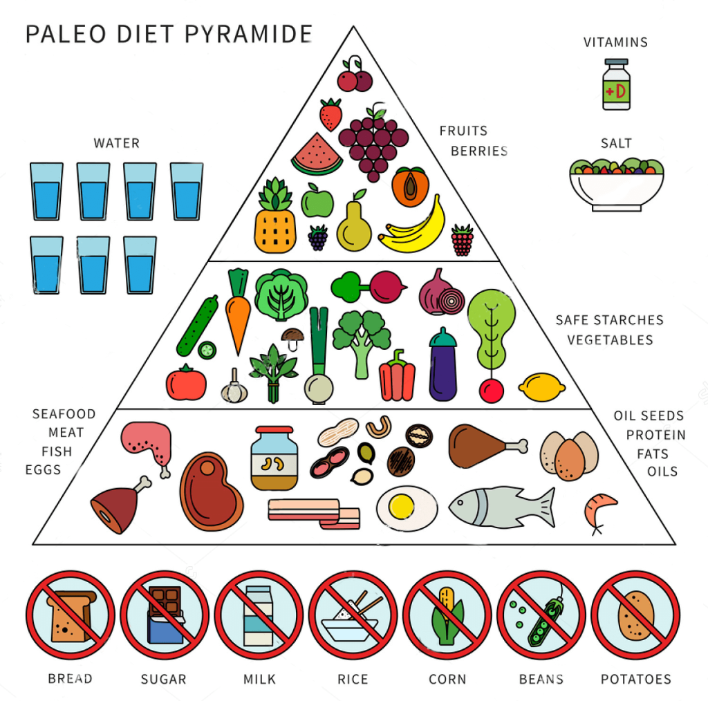 Plant-Based Paleo: A Modern Twist On Ancient Diet