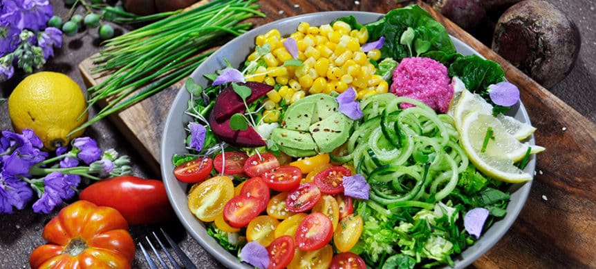 Plant-Based Paleo: A Modern Twist On Ancient Diet
