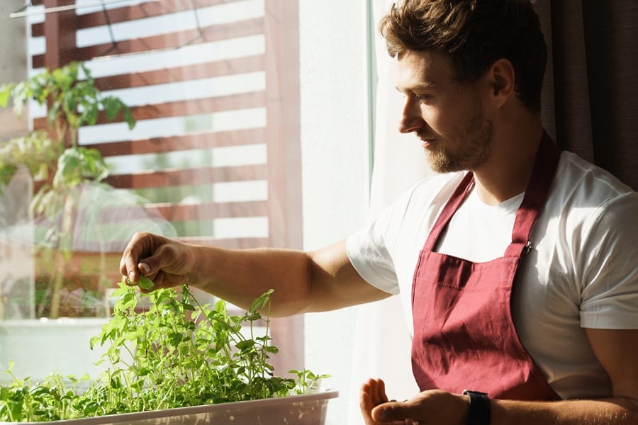 Grow Your Own Kitchen Garden