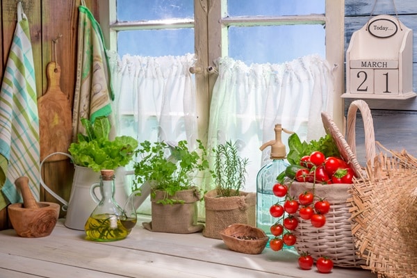 Grow Your Own Kitchen Garden