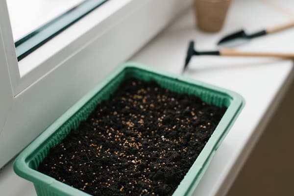 Grow Your Own Kitchen Garden