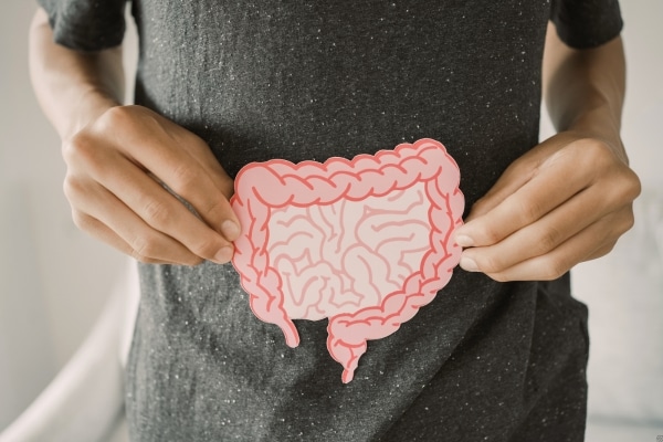 Fermented Vegan Foods
